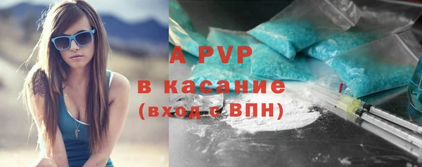 ПСИЛОЦИБИНОВЫЕ ГРИБЫ Бородино