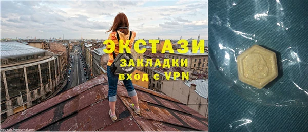 ECSTASY Богородск