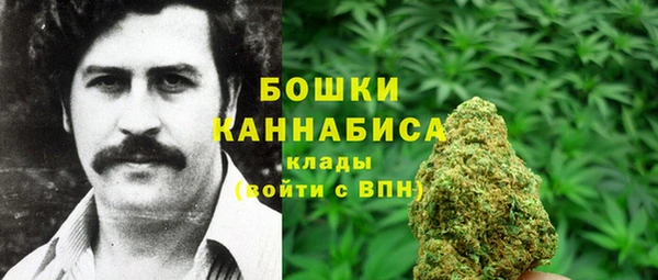 бошки Богданович