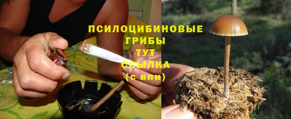 первитин Богородицк