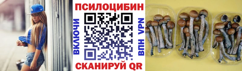 MEGA рабочий сайт Сыктывкар Псилоцибиновые грибы Psilocybe